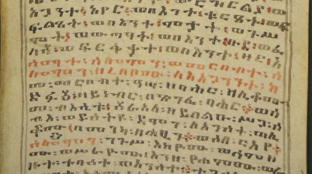 Close view of ruled parchment carrying many lines of Amharic fidel text in black ink with two lines and scattered letters in red