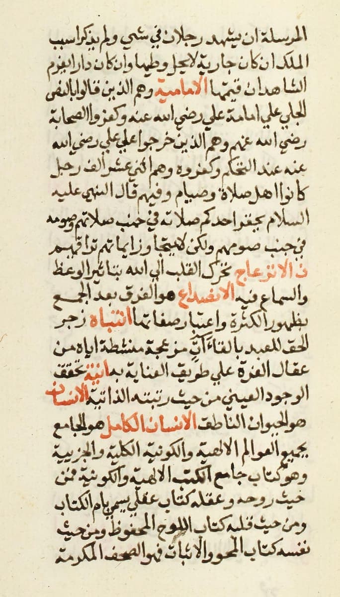 Manuscript page in small naskh with the defined terms picked out in red ink and the rest of the text in dark brown