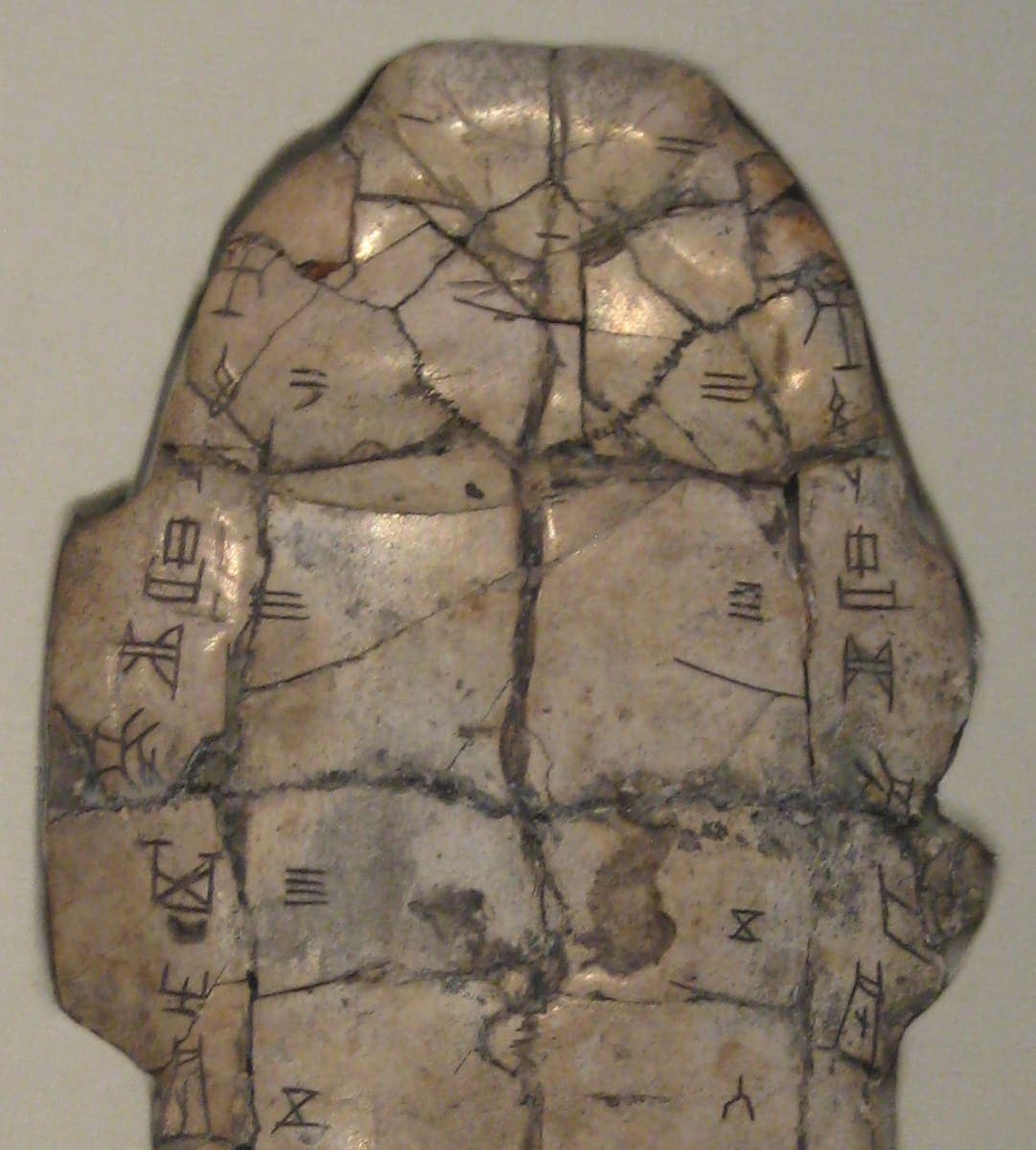 Upper part of a Shang turtle plastron with incised graphs down both edges and numbered heat cracks across the surface