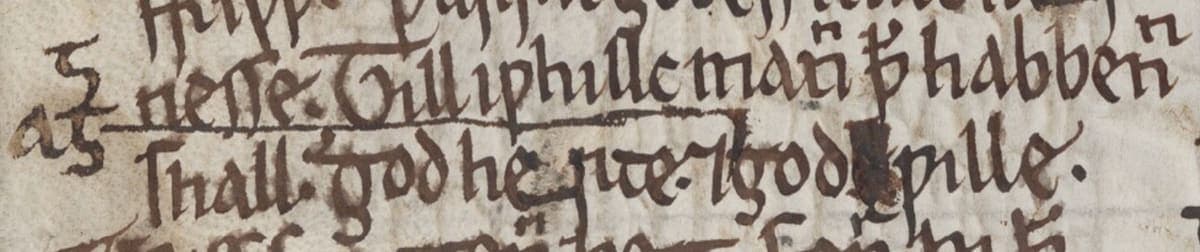 Close detail of two lines of the Ormulum showing doubled consonants, a closed insular g and a wynn