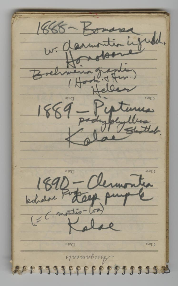 A spiral-bound notebook page of pencil field notes with collection numbers and plant names, the printed Date and Class rulings running upside down