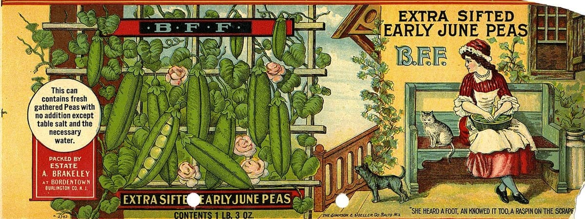 A colour-printed tin can label showing pea pods and a seated woman, with the product name in ornate capitals and blocks of small print