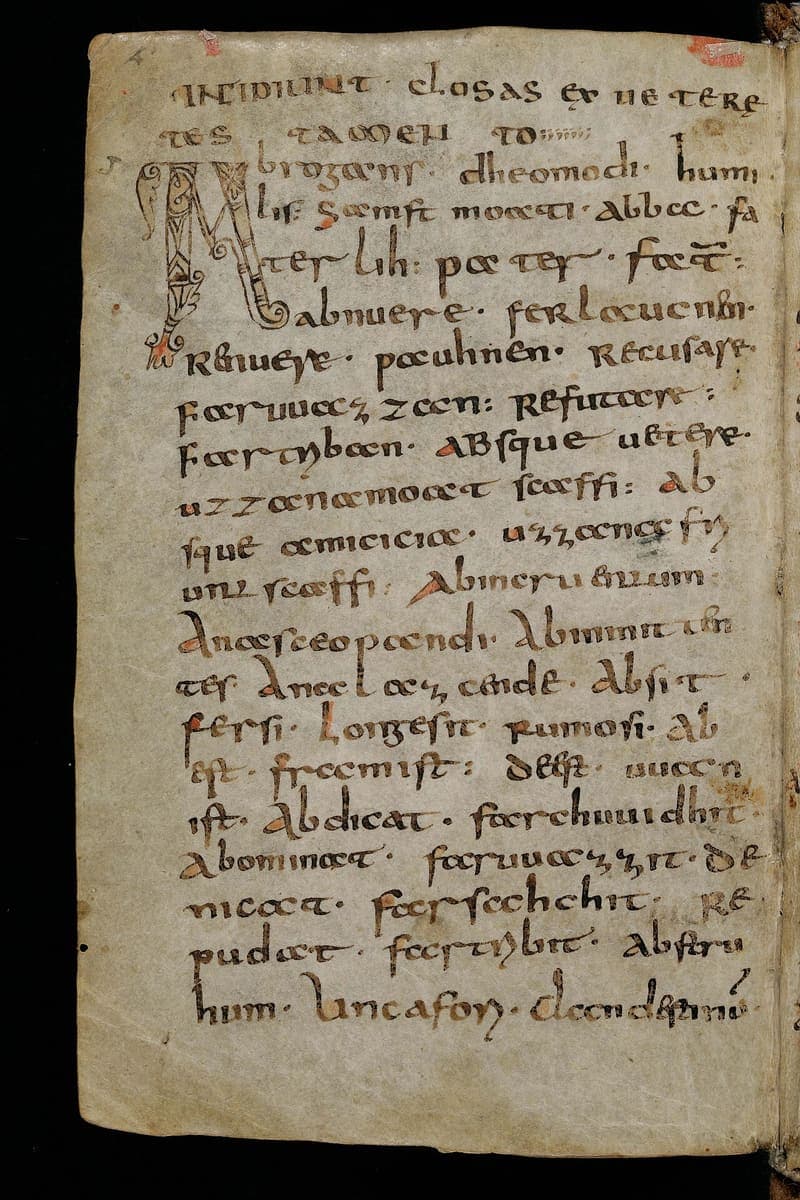 Opening page of the Abrogans glossary in Caroline minuscule, with a decorated initial A and continuous lines of Latin headwords each followed by its Old High German gloss