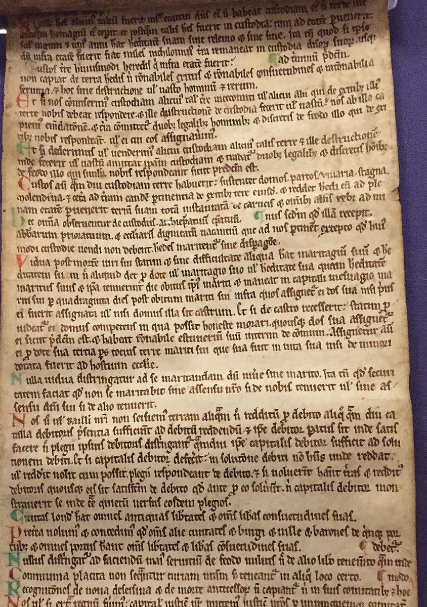 Upper part of a parchment roll under glass, filled with small Gothic charter script whose clauses each open with a red, blue or green initial