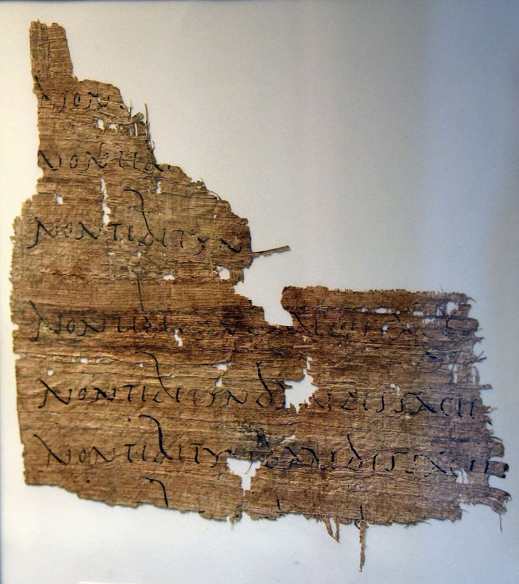 Torn papyrus fragment, broken away across the middle, carrying the same line of Latin verse written out again and again in a rounded first-century hand