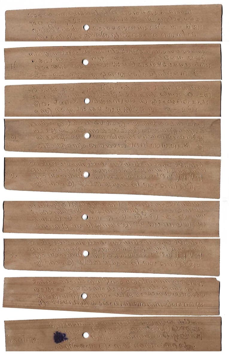 Nine narrow palm-leaf strips laid out in rows, each incised with lines of small round Malayalam letters and pierced by a binding hole