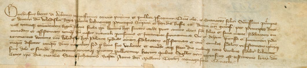 Nine lines of late fourteenth-century chancery cursive on a narrow strip of parchment, faded brown ink with a heavy dating clause at the end