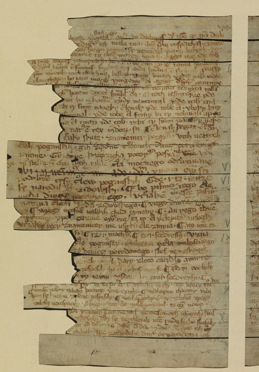 Narrow horizontal strips of parchment mounted one above another, each carrying a few lines of small fourteenth-century Gothic script in brown ink