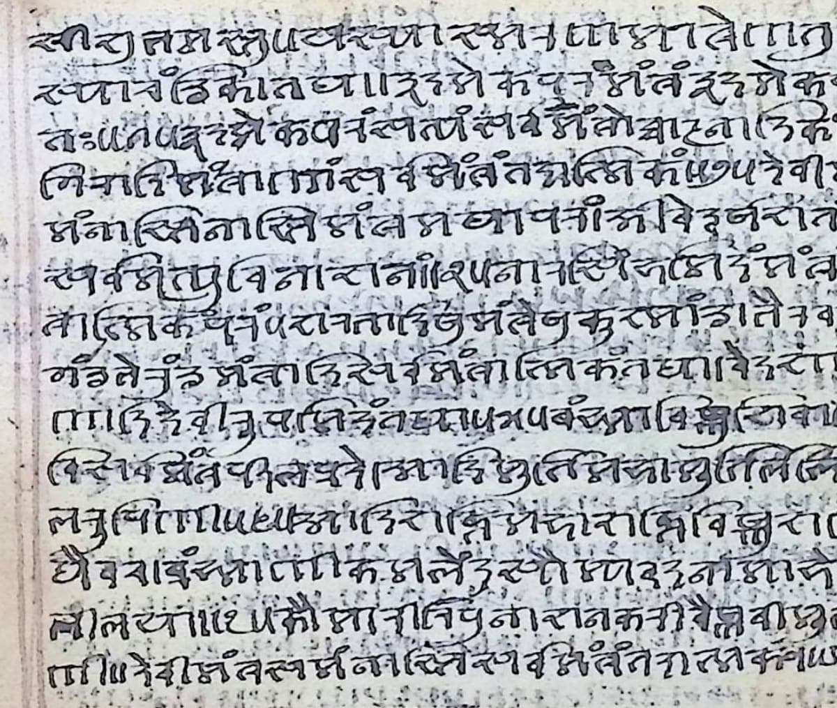 A paper page of fourteen inked lines of Nandinagari between red margin rules, with writing from the other side showing through