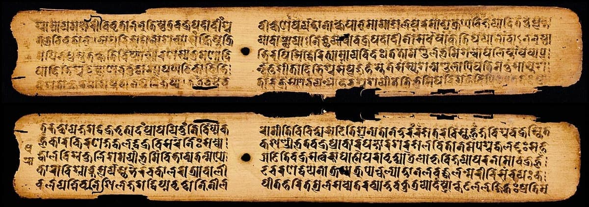 Two long palm leaves with five lines of hooked Nepalese writing each, a round binding hole punched through the middle of the text and broken edges