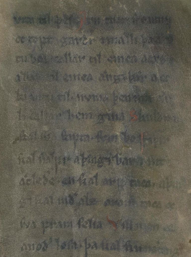 Twelve dark lines of thirteenth-century Old Swedish book hand with red initials on a discoloured parchment leaf