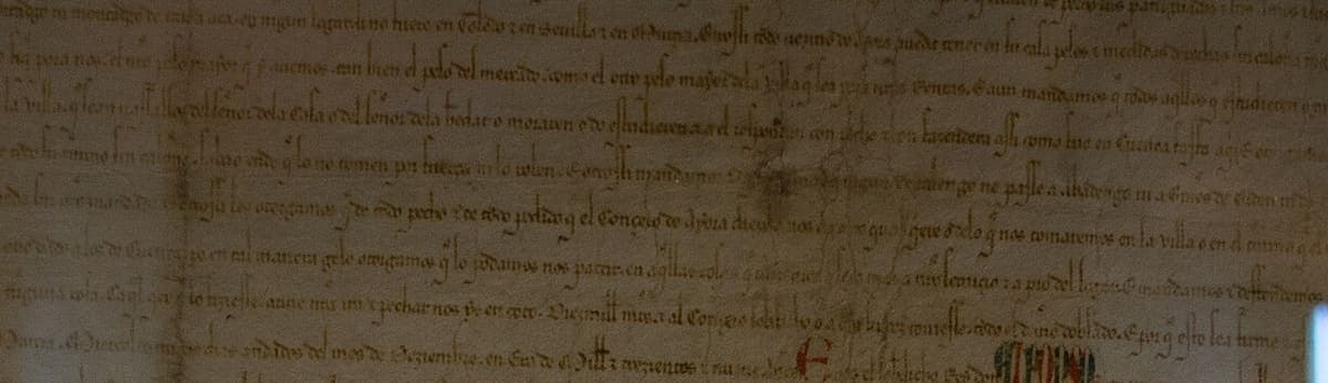 Eight lines of wide, upright thirteenth-century charter script running across a stained parchment sheet.