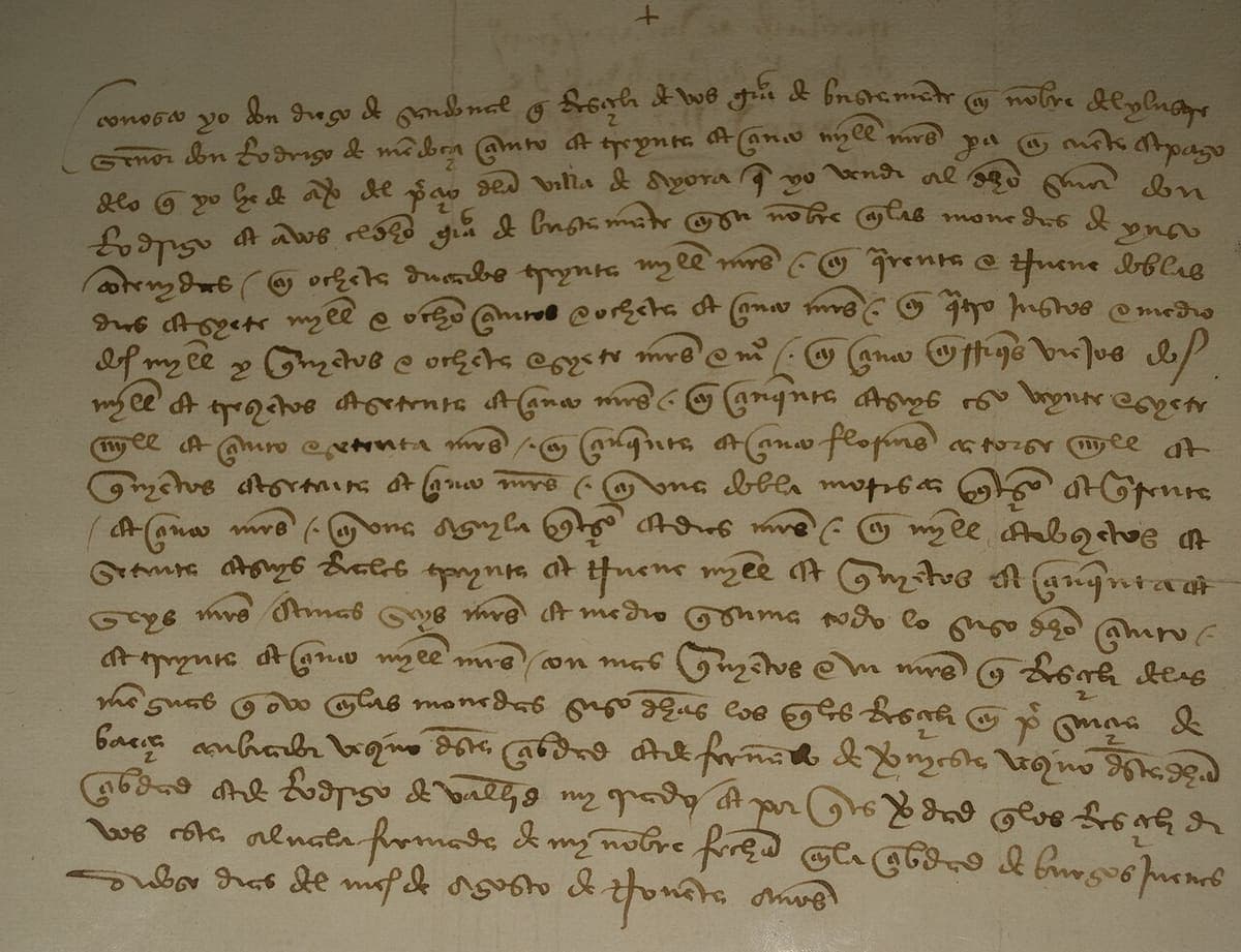A parchment sheet covered with about twenty lines of large, round, looped fifteenth-century Spanish writing.