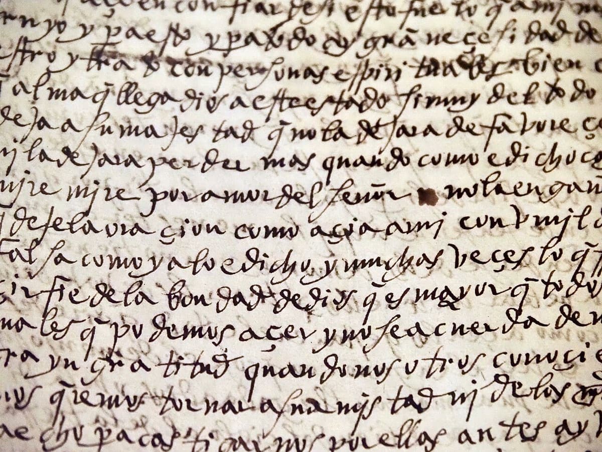 Close-up of fourteen lines of rapid sixteenth-century Spanish cursive with ink showing through from the reverse of the paper.