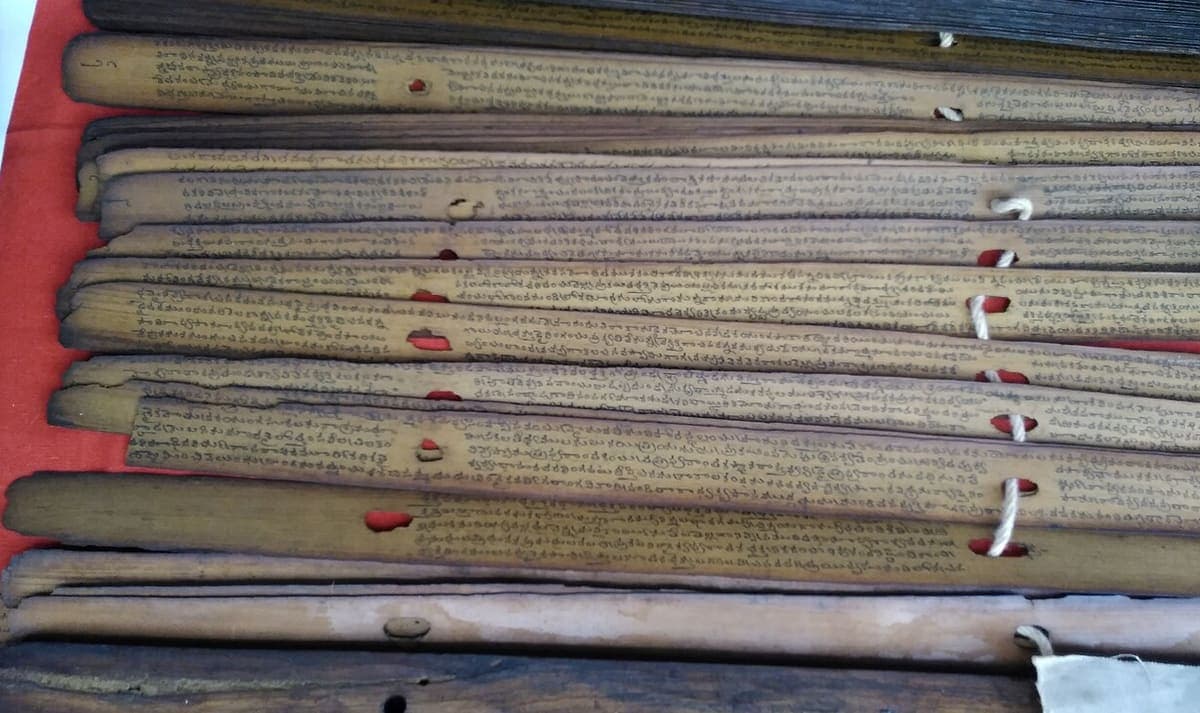 Fan of palm leaf strips from the Basava Purana manuscript with several lines of incised Telugu script on each leaf and cord threaded through binding holes