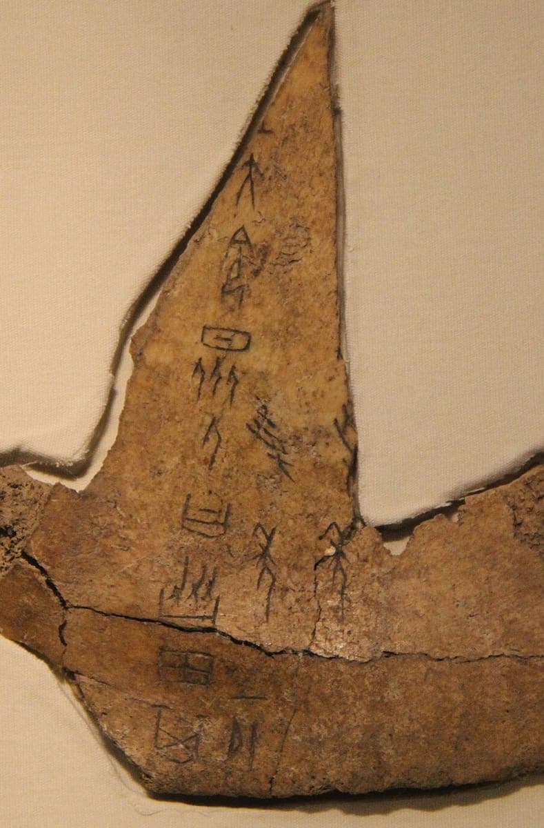 Broken triangular fragment of an inscribed ox bone, two columns of incised graphs running across the crack that splits it