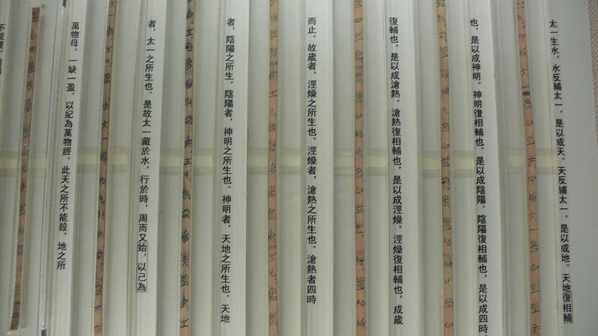 Museum case of Guodian bamboo slips, each slip standing behind a printed column of the modern reading in black type