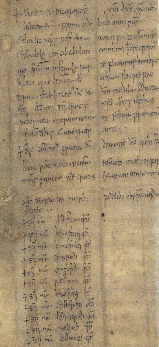 Left-hand part of the 838 Council of Kingston charter, Cotton Augustus II 20, in ninth-century Insular minuscule with a witness list of crosses