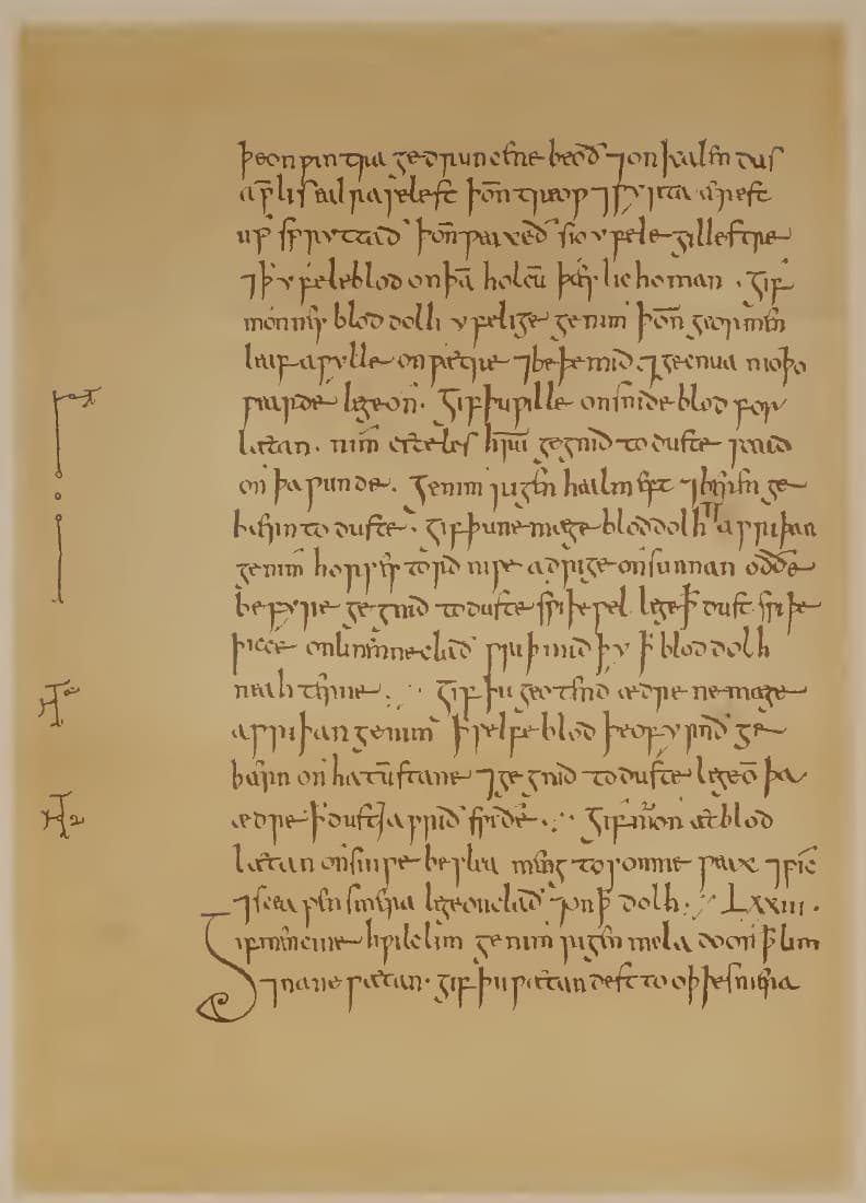 Facsimile page from Bald’s Leechbook, Royal MS 12 D XVII, Old English medical recipes in tenth-century minuscule with marginal marks