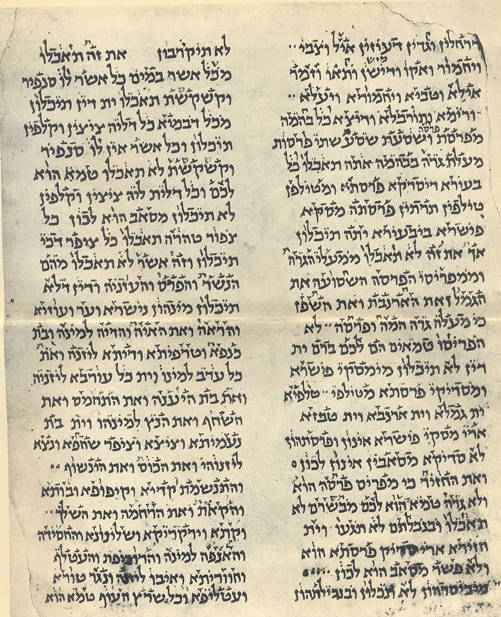 Two columns of Hebrew and Aramaic on a Geniza leaf, vocalised with dots and marks placed above the letters instead of below