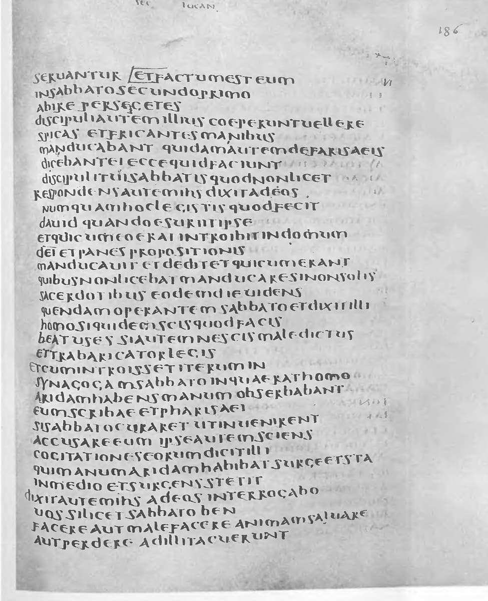 The Latin page of Codex Bezae, a single column of uncial carrying the Gospel of Luke, chapter 6