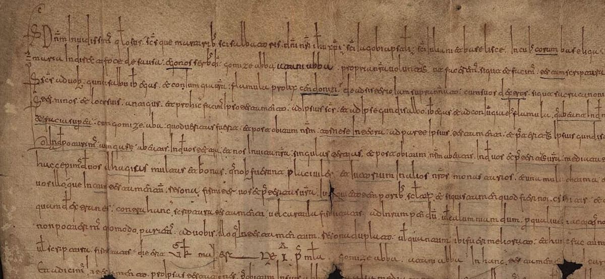 First lines of a 1053 charter of the monastery of Paço de Sousa in a small, precise Visigothic cursive with very long ascenders