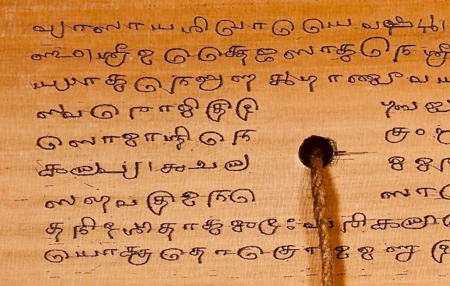 A single palm leaf incised with nine lines of large rounded Grantha letters, a cord hole and its string in the middle