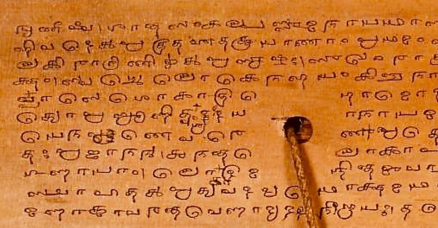 A palm leaf with eleven lines of Grantha, the cord threaded through a hole and lying across the lines below it